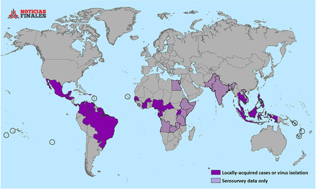 El Virus Zika Ya Es Pandemia Y Es Peor De Lo Que Se Esperaba C Mo   Zika Head 1024x614 